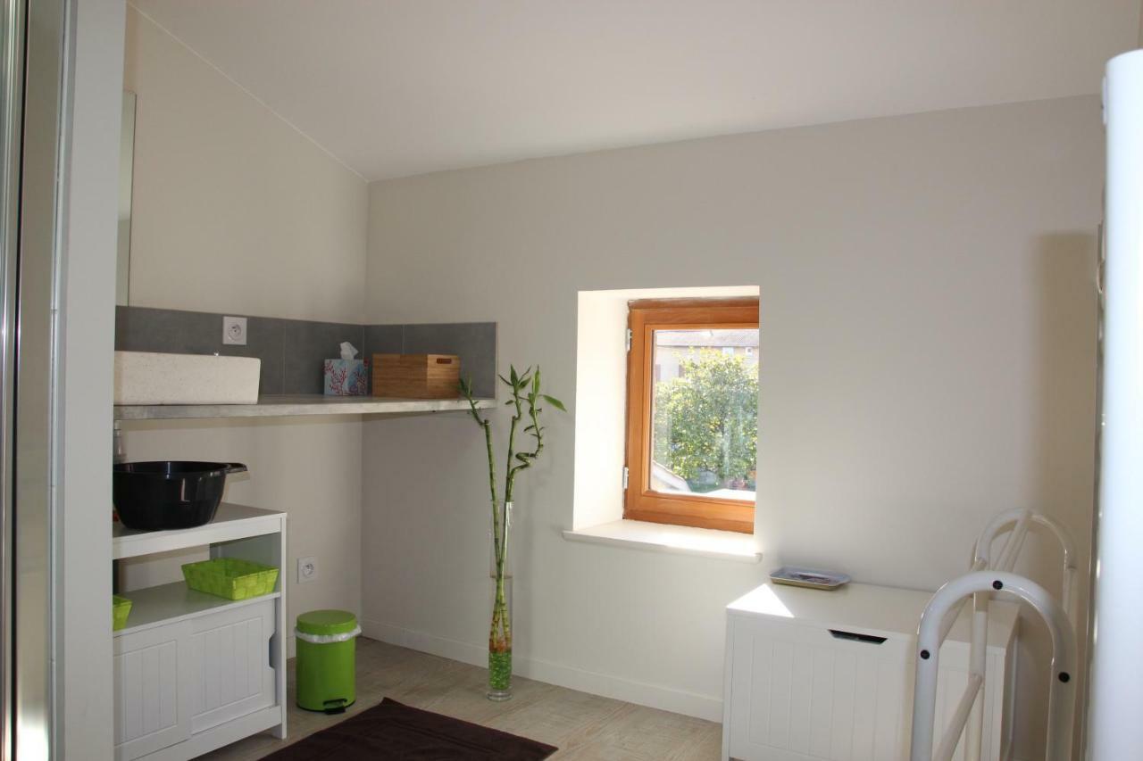 Grand Duplex Au Calme En Centre-Ville Villefranche-sur-Saône Exterior foto